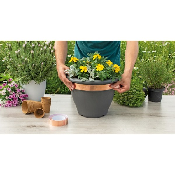 887502_medena paska na slizniaky